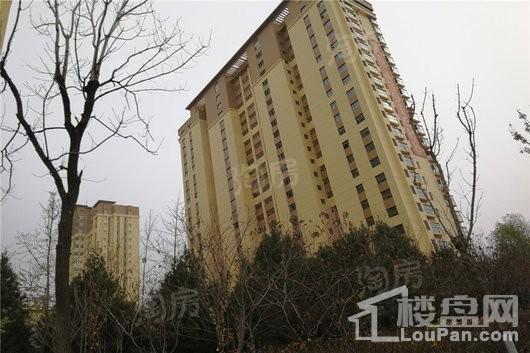 东辰祥瑞实景图