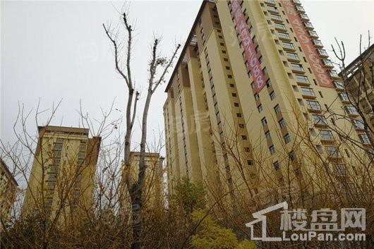 东辰祥瑞实景图