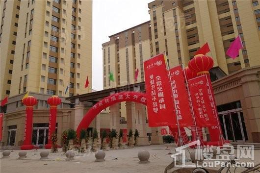 东辰祥瑞实景图