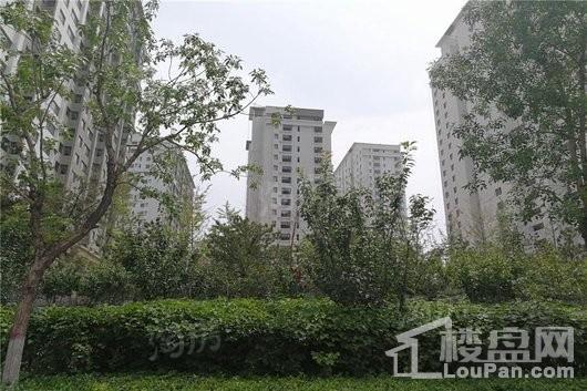 东辰祥瑞实景图