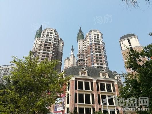 国凤新派客实景图