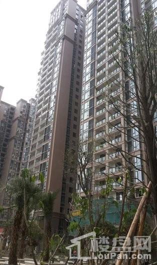 瑞居海布斯卡实景图