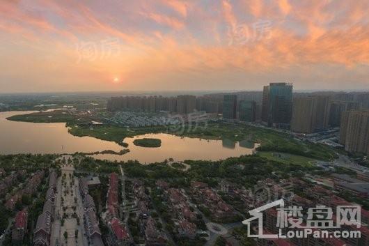 金科·半岛壹号实景图