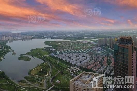 金科·半岛壹号实景图