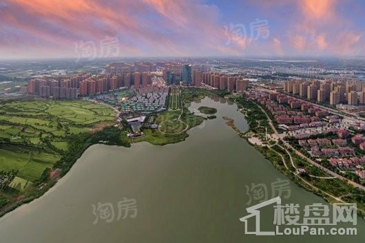 金科·半岛壹号实景图