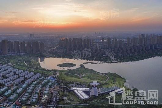 金科·半岛壹号实景图