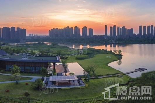 金科·半岛壹号实景图