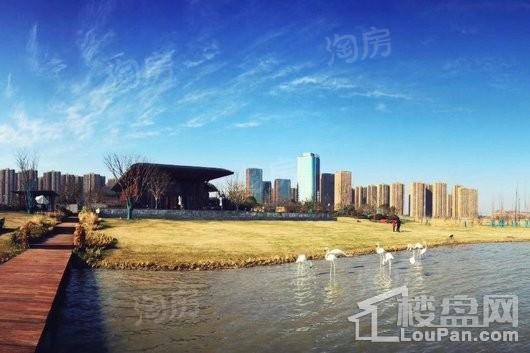 金科·半岛壹号实景图