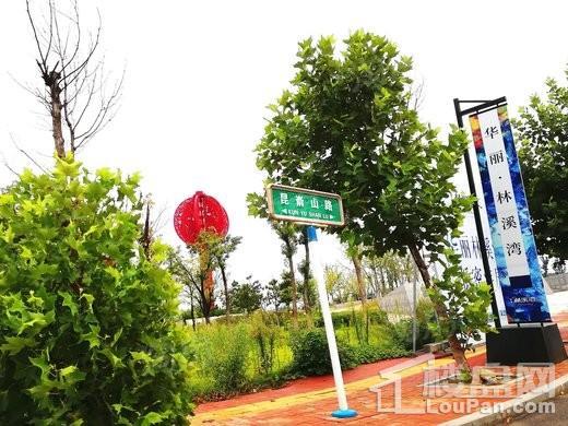 华丽林溪湾实景图