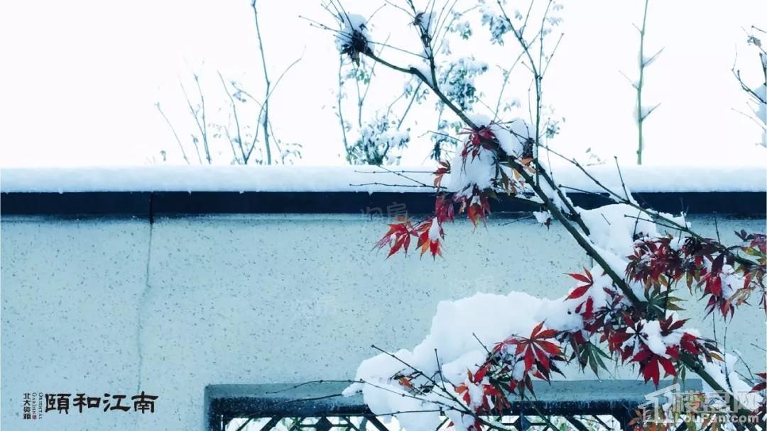 北大资源·颐和江南实景图