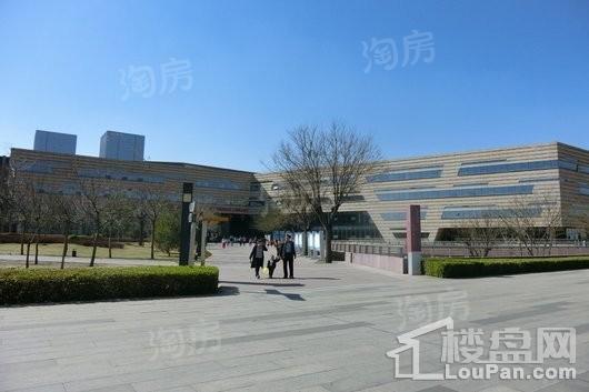 凤玺湾·金街配套图