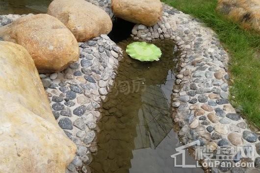 紫金坊实景图