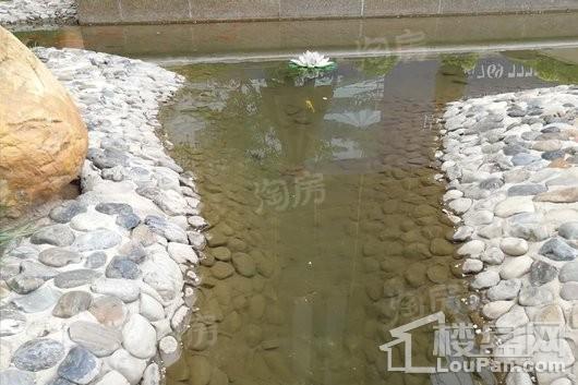 紫金坊实景图