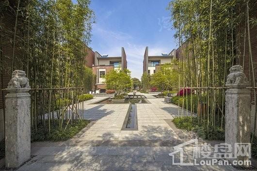 富力十号往来实景图
