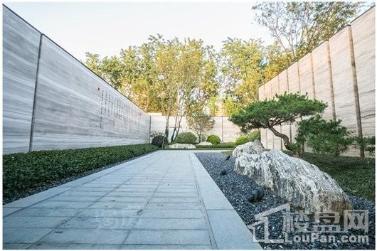 金隅紫京叠院实景图