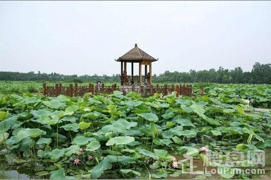 绿地中心468星曜配套图