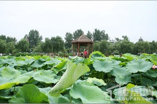 绿地中心468星曜配套图
