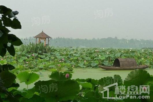 绿地中心468星曜配套图