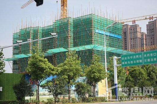滨湖金茂悦实景图