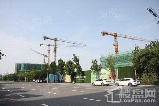 滨湖金茂悦实景图