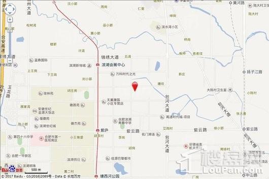 新城·合肥大都会位置图