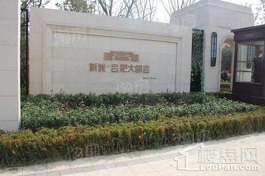 新城·合肥大都会实景图