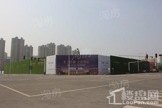 新城·合肥大都会实景图