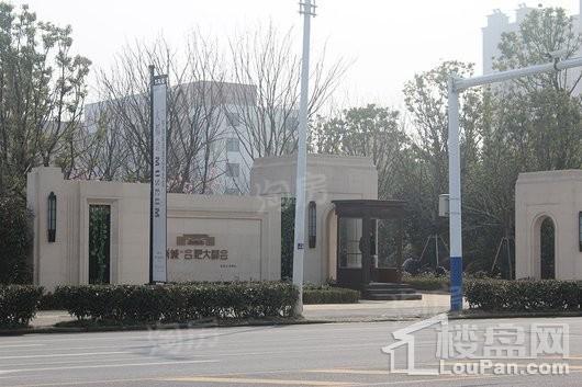 新城·合肥大都会实景图