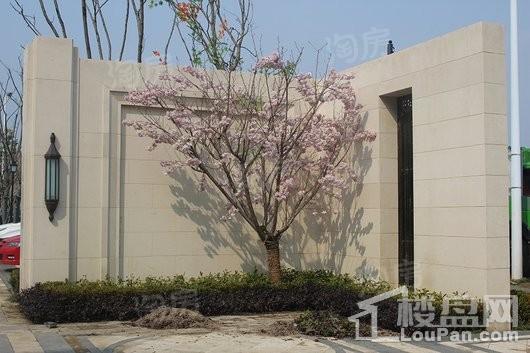 新城·合肥大都会实景图