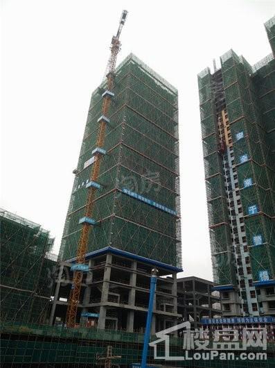 普得先锋国际实景图