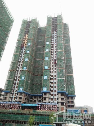 普得先锋国际实景图