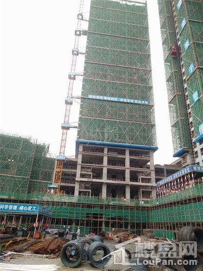 普得先锋国际实景图