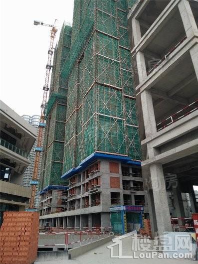 普得先锋国际实景图