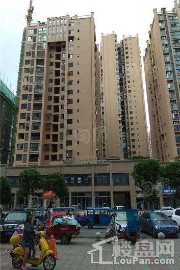 实地海棠名著实景图