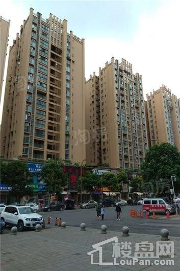 实地海棠名著实景图