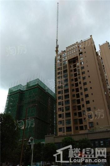 实地海棠名著实景图
