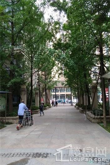 实地海棠名著实景图