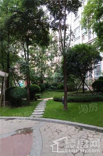 实地海棠名著实景图