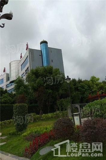 实地海棠名著配套图