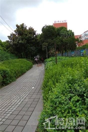 实地海棠名著配套图