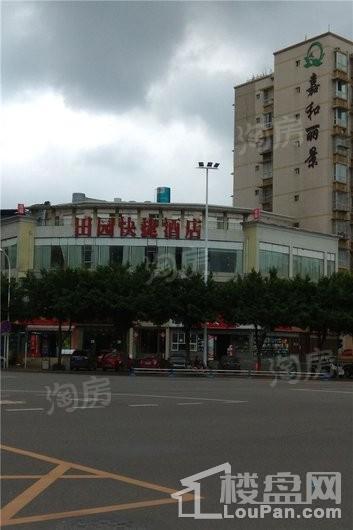 实地海棠名著配套图