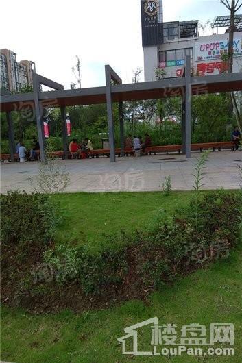 实地海棠名著配套图