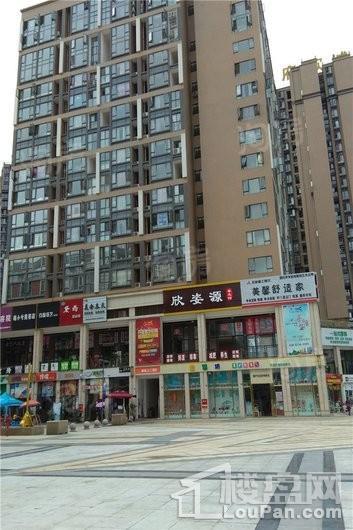 实地海棠名著配套图