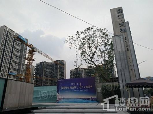 滨江天樾实景图