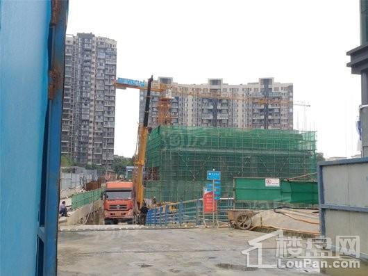 滨江天樾实景图