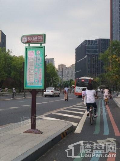 滨江天樾配套图
