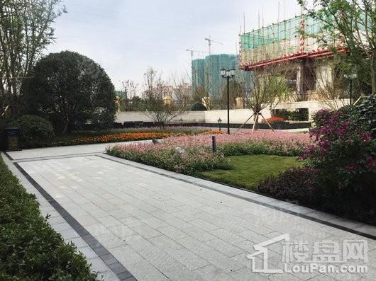 蓝光公园锦汇实景图