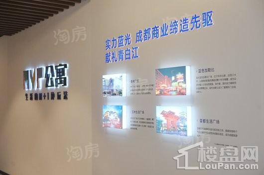 蓝光公园锦汇实景图