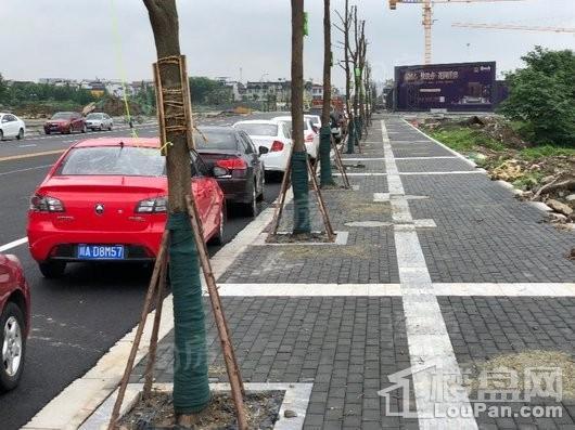 隆腾蜀州府实景图