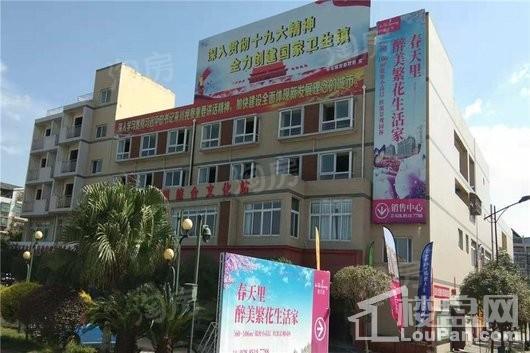 春天里配套图